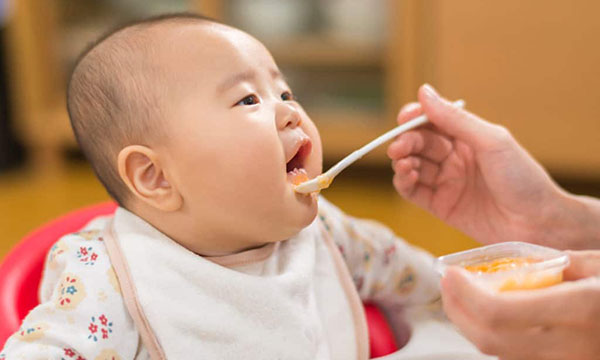 Các Nguyên Liệu Nên Dùng Khi Nấu Cháo Cho Bé Trên 1 Tuổi