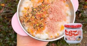 Review Ruốc Cá Hồi Kozen Có Tốt Không?