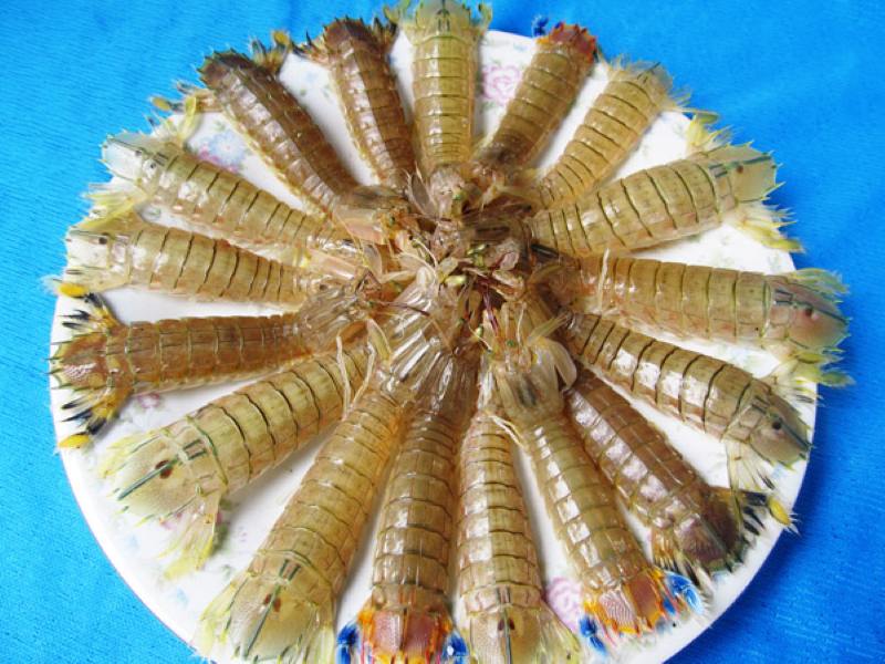 Những Lợi Ích Khi Cho Bé Ăn Bề Bề